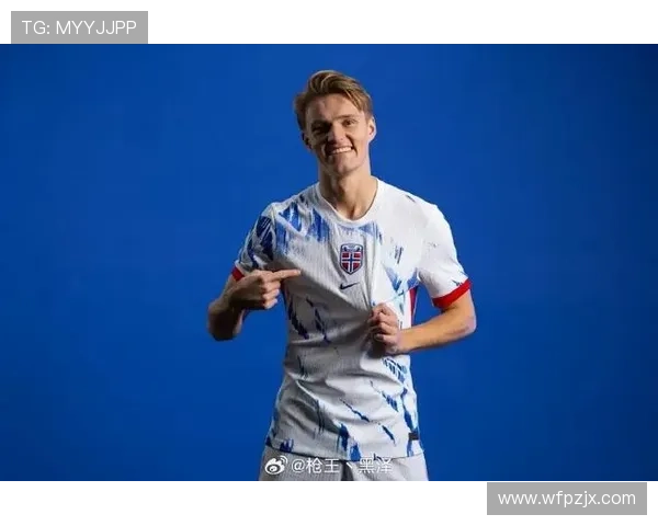 哈兰德挪威双子星