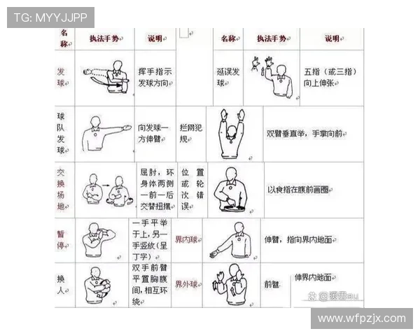 新手裁判必看：一文读懂裁判手势规则全图解